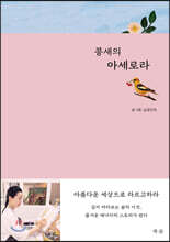 콩새의 아세로라