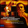 무소르그스키: 전람회의 그림 & 민둥산의 하룻밤 (Mussorgsky:Pictures At an Exhibition & Night On The Bare Mountain) (SHM-SACD)(일본반) - Valery Gergiev