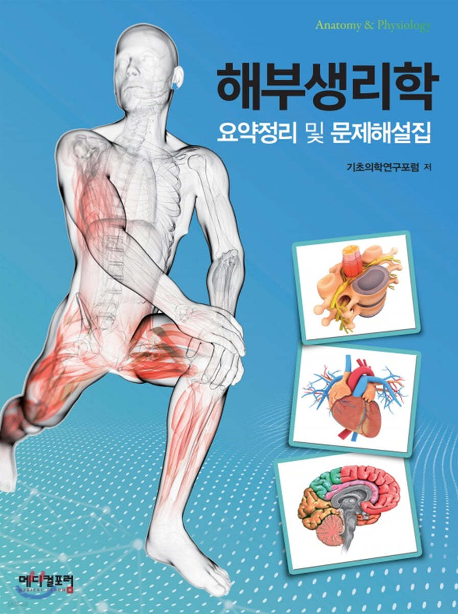 해부생리학 요약정리 및 문제해설집