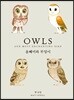 [대여] 올빼미와 부엉이