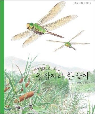 세밀화로 보는 왕잠자리 한살이