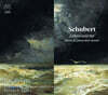 Duo Pleyel 슈베르트: 네 손을 위한 피아노 작품집 (Schubert: Music for Piano Four-Hands)