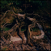 Bremer/Mccoy - Utopia (MP3 Download)(LP)