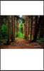 Nature grid style notebook $ir Michael NYC Limited edition: Nature grid style notebook $ir Michael NYC Limited edition