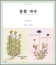 백은의 구세기 1