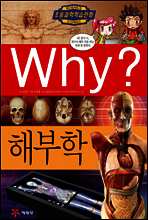 Why? 와이 해부학