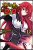 하이스쿨 DxD 12