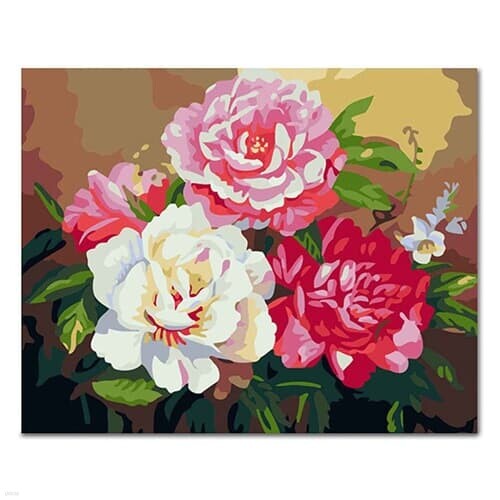DIY 페인팅 화사한모란꽃 PW02 (40x50)