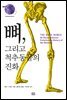 뼈, 그리고 척추동물의 진화