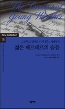 젊은 베르테르의 슬픔