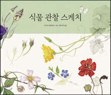 식물 관찰 스케치