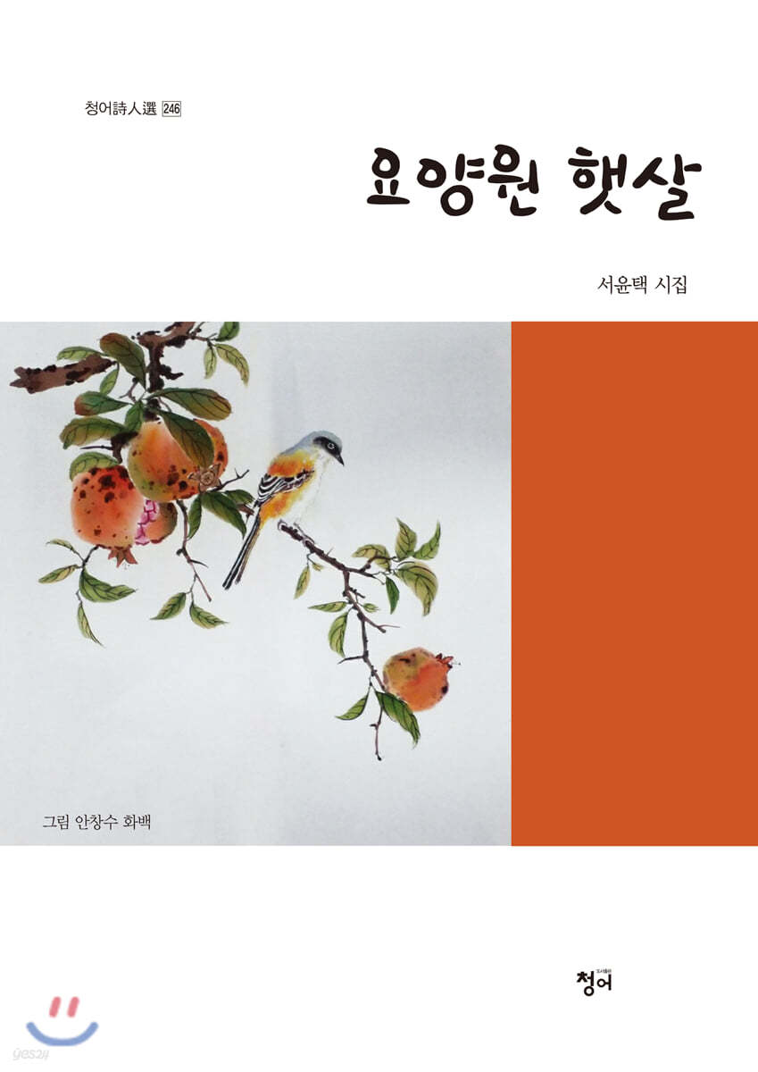 요양원 햇살