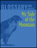 My Side of the Mountain Glossary and Notes: My Side of the Mountain