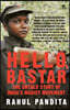 Hello, Bastar: The Untold Story of India's Maoist Movement