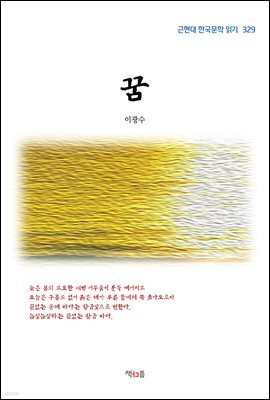 이광수 꿈 (근현대 한국문학 읽기 329)