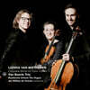 Van Baerle Trio 베토벤: 피아노 트리오 5집 - 판 베를 트리오 (Beethoven: Complete Piano Trios Vol. 5)