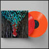 Bright Eyes (브라이트 아이즈) - 10집 Down in the Weeds, Where the World Once Was [투명 레드 & 오렌지 컬러 2LP]