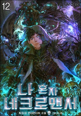 나 혼자 네크로맨서 12권