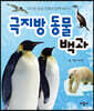 극지방 동물 모형과 함께 배우는 극지방 동물 백과