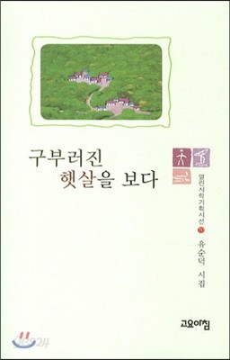 구부러진 햇살을 보다