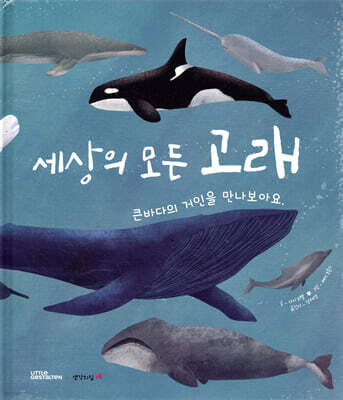 세상의 모든 고래
