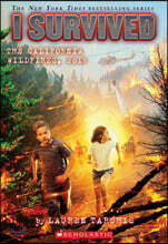 I Survived #20: I Survived the California Wildfires, 2018