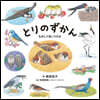とりのずかん ものしりあいうえお