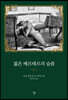 젊은 베르테르의 슬픔 (미니북)