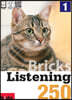 Bricks Listening 250-1