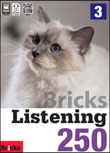 Bricks Listening 250-3
