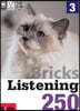 Bricks Listening 250-3