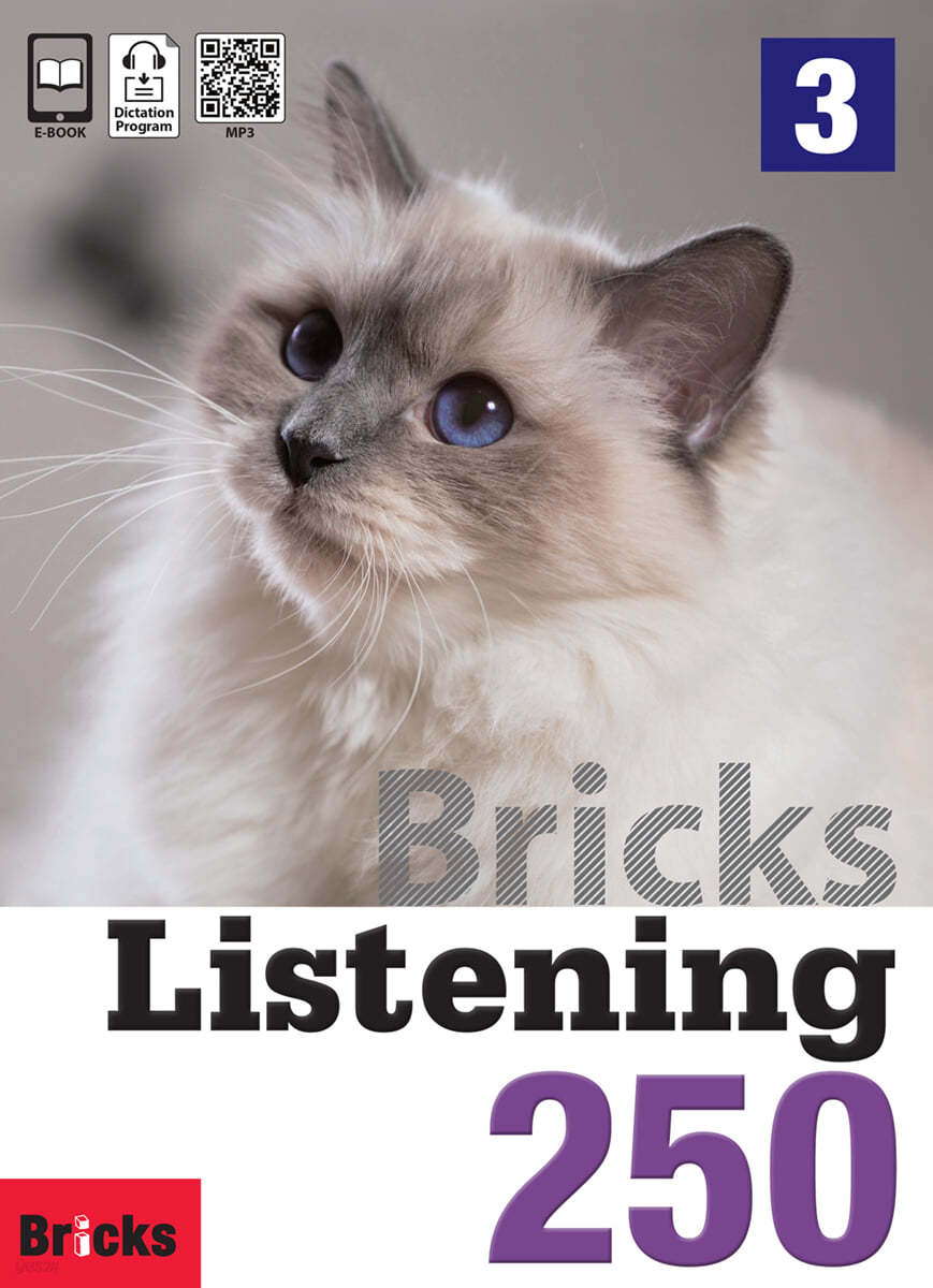 Bricks Listening 250-3