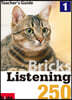 Bricks Listening 250-1 : Teacher's Guide