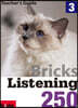 Bricks Listening 250-3 : Teacher's Guide