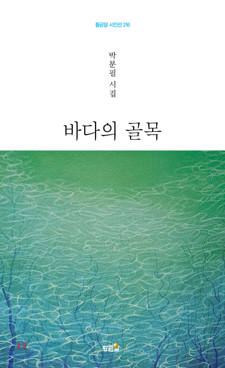 바다의 골목