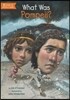 What Was Pompeii?