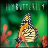 Fly, Butterfly