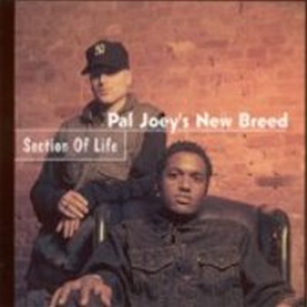 [미개봉] Pal Joey&#39;s New Breed / Section Of Life (수입)