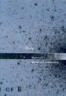 Wetwares: Experiments in Postvital Living