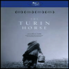 Turin Horse (토리노의 말) (한글무자막)(Blu-ray) (2012)