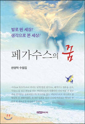 페가수스의 꿈