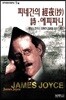 피네간의 경야 외