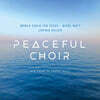 Lavinia Meijer / World Choir for Peace 평화의 합창 - 월드 콰이어 포 피스 합창단, 라비니아 메이어