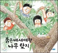 붉은배새매랑 나무 탔지