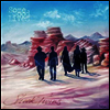 Shook Twins - Some Good Lives (LP)