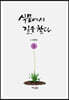 식물에서 길을 찾다