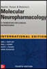 Molecular Neuropharmacology, 4/E (IE)