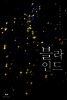 블라인드