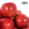 경북 의성 사과 흠과 5kg(20~30과)