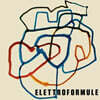 Giuliano Sorgini (지울랴노 소르기니) - Elettroformule [LP]